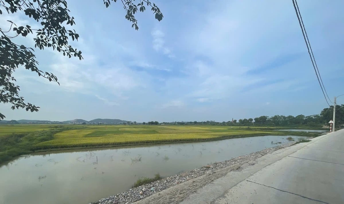 Vị trí triển khai dự án tái định cư làng chài Nguyệt Đức lên bờ thuộc đất nông nghiệp, Bắc Giang đã có phương án chuyển đổi mục đích sử dụng đất để triển khai dự án. Ảnh: Kiên Trung. Vị trí triển khai dự án tái định cư làng chài Nguyệt Đức lên bờ thuộc đất nông nghiệp, Bắc Giang đã có phương án chuyển đổi mục đích sử dụng đất để triển khai dự án. Ảnh: Kiên Trung.