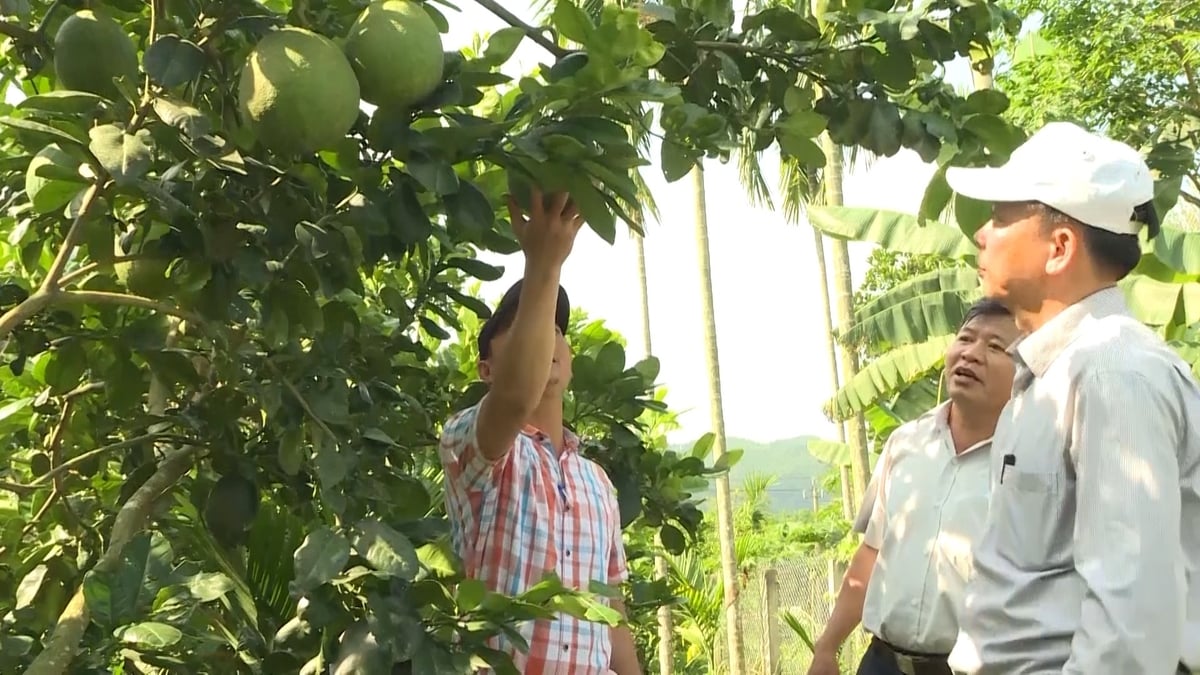 Chính quyền tranh thủ các nguồn lực đầu tư, tập trung hỗ trợ phát triển sản xuất, đa dạng hóa sinh kế và triển khai các mô hình giảm nghèo. Ảnh: Võ Hà. Chính quyền tranh thủ các nguồn lực đầu tư, tập trung hỗ trợ phát triển sản xuất, đa dạng hóa sinh kế và triển khai các mô hình giảm nghèo. Ảnh: Võ Hà.
