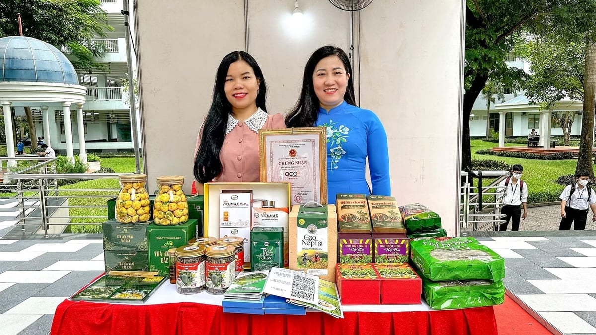 Một số sản phẩm OCOP tỉnh Bắc Kạn đang dần mở rộng thị trường tiêu thụ. Ảnh: Sơn Lâm. Một số sản phẩm OCOP tỉnh Bắc Kạn đang dần mở rộng thị trường tiêu thụ. Ảnh: Sơn Lâm.