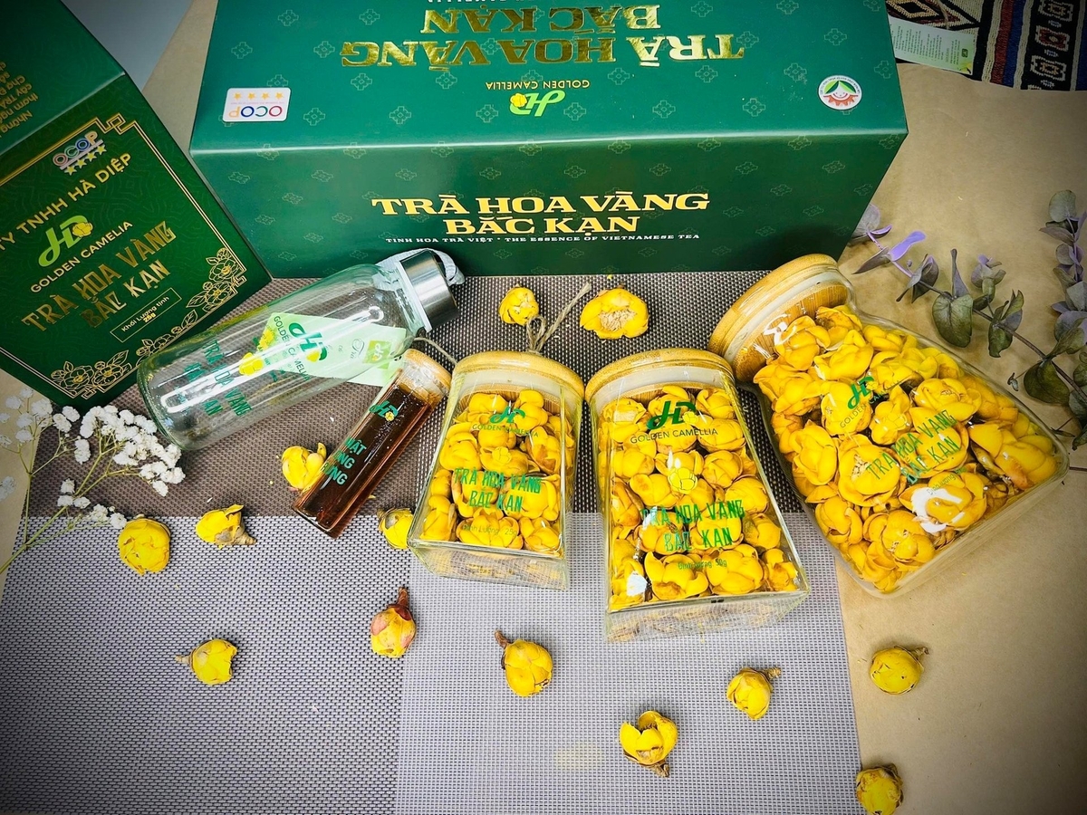 Trà hoa vàng Bắc Kạn, sản phẩm OCOP được đánh giá cao về chất lượng. Ảnh: NT. Trà hoa vàng Bắc Kạn, sản phẩm OCOP được đánh giá cao về chất lượng. Ảnh: NT.