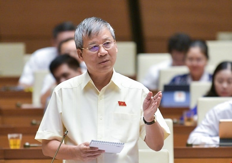 GS.TS Nguyễn Anh Trí, đại biểu Quốc hội đoàn Hà Nội. Ảnh: Quochoi.