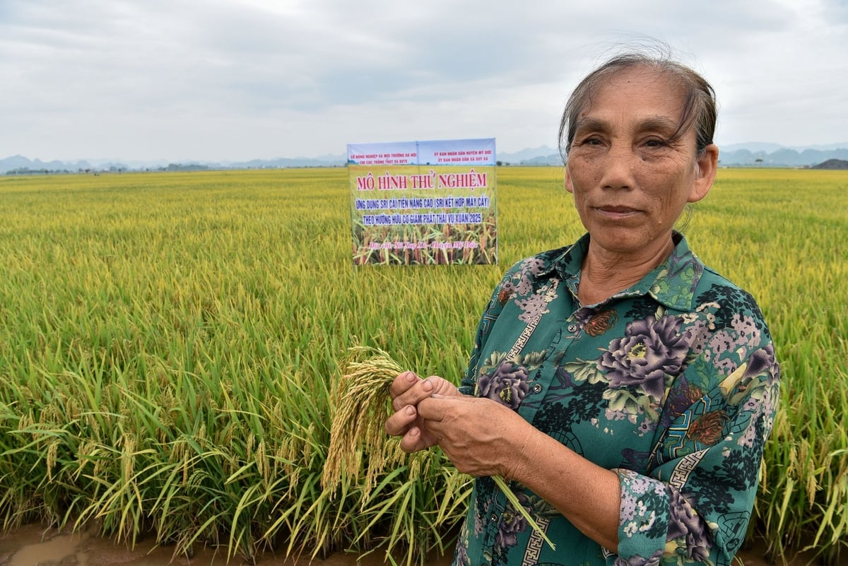 Nông dân tham gia vào mô hình. Ảnh: Dương Đình Tường. Nông dân tham gia vào mô hình. Ảnh: Dương Đình Tường.