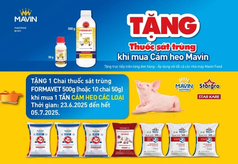 Thức ăn chăn nuôi thương hiệu Mavin Austfeed và Stargro được sản xuất trên dây chuyền hiện đại, đạt chuẩn quốc tế. Ảnh: Mavin. Thức ăn chăn nuôi thương hiệu Mavin Austfeed và Stargro được sản xuất trên dây chuyền hiện đại, đạt chuẩn quốc tế. Ảnh: Mavin.