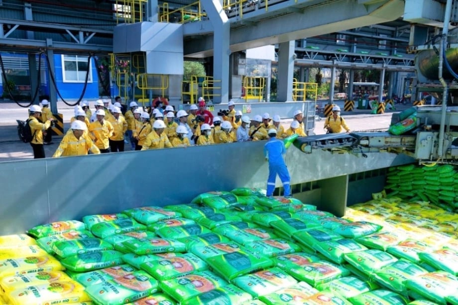 Giá thành phân bón được dự báo sẽ tiếp tục tăng trong thời gian tới, buộc các doanh nghiệp trong ngành phải tìm phương án ứng phó nhằm cân đối chi phí và duy trì sức cạnh tranh. Ảnh: DCM. Giá thành phân bón được dự báo sẽ tiếp tục tăng trong thời gian tới, buộc các doanh nghiệp trong ngành phải tìm phương án ứng phó nhằm cân đối chi phí và duy trì sức cạnh tranh. Ảnh: DCM.