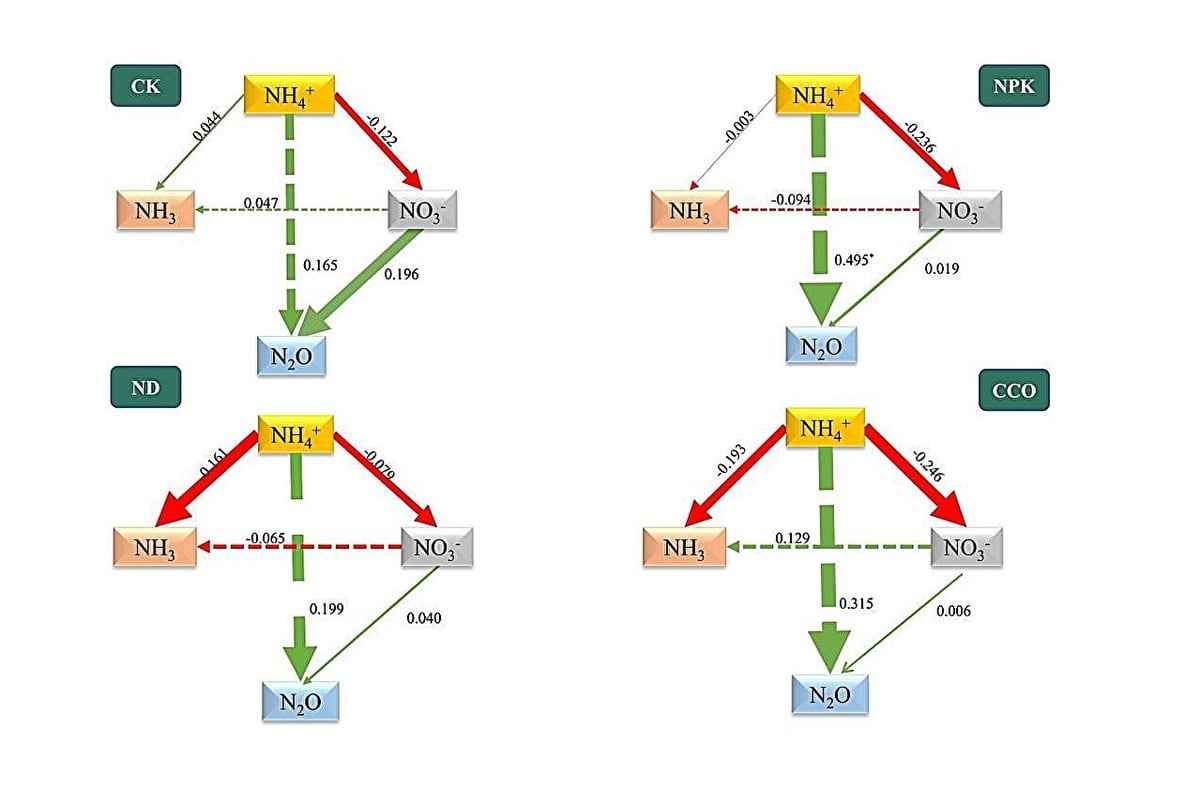 Path analysis of NH₃, N₂O, NH₄⁺-N, and NO₃⁻-N emissions under different treatments. Credit: Li Yaqun