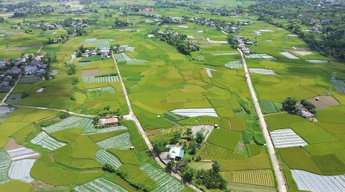 Chuyển đổi sinh kế theo hướng bền vững, nâng cao giá trị sản xuất nông nghiệp đang trở thành trụ cột quan trọng trong hành trình xây dựng nông thôn mới tại tỉnh Yên Bái. Ảnh: Thanh Ngà. Chuyển đổi sinh kế theo hướng bền vững, nâng cao giá trị sản xuất nông nghiệp đang trở thành trụ cột quan trọng trong hành trình xây dựng nông thôn mới tại tỉnh Yên Bái. Ảnh: Thanh Ngà.