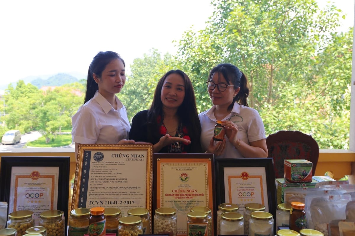Phát triển sản phẩm OCOP giúp nâng cao giá trị nông sản Bắc Kạn. Ảnh: NT. Phát triển sản phẩm OCOP giúp nâng cao giá trị nông sản Bắc Kạn. Ảnh: NT.