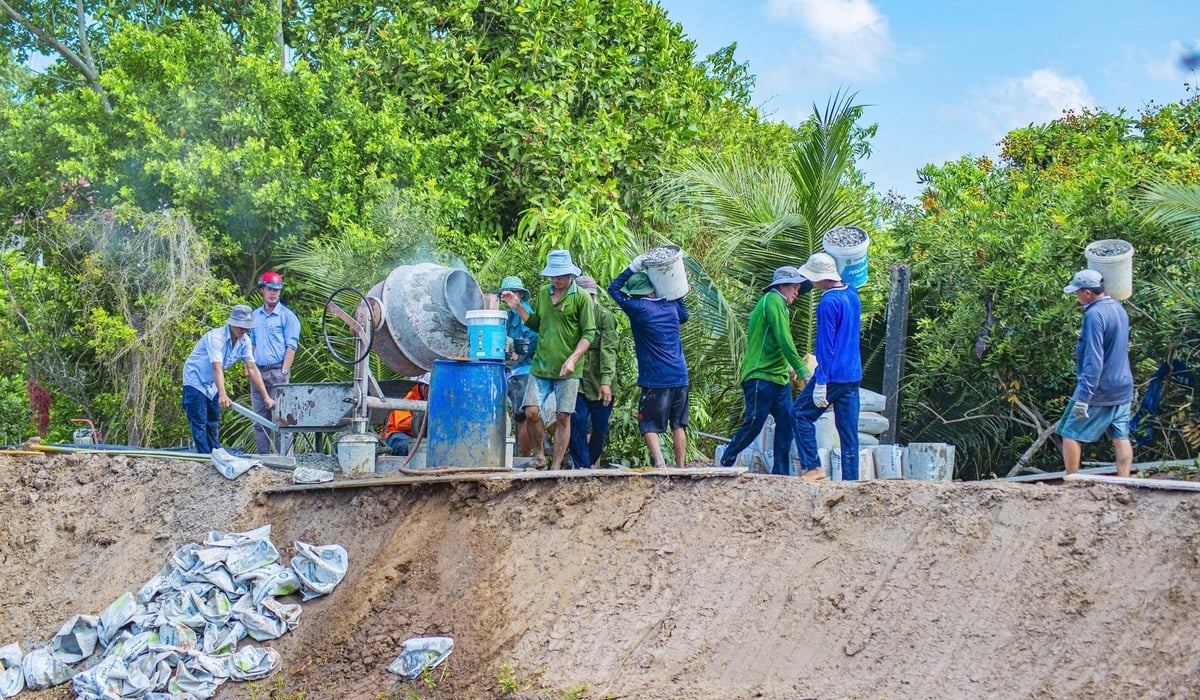 Dự án CSAT Bến Tre đầu tư xây dựng công trình đường giao thông nông thôn tại xã Tam Hiệp, huyện Bình Đại. Ảnh: Tiến Vũ. Dự án CSAT Bến Tre đầu tư xây dựng công trình đường giao thông nông thôn tại xã Tam Hiệp, huyện Bình Đại. Ảnh: Tiến Vũ.