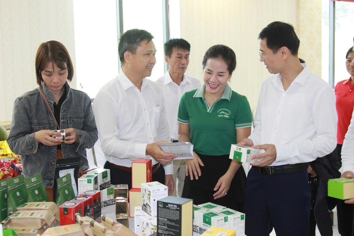 Tỉnh Yên Bái hiện có hơn 270 sản phẩm OCOP. Ảnh: Thanh Tiến. Tỉnh Yên Bái hiện có hơn 270 sản phẩm OCOP. Ảnh: Thanh Tiến.