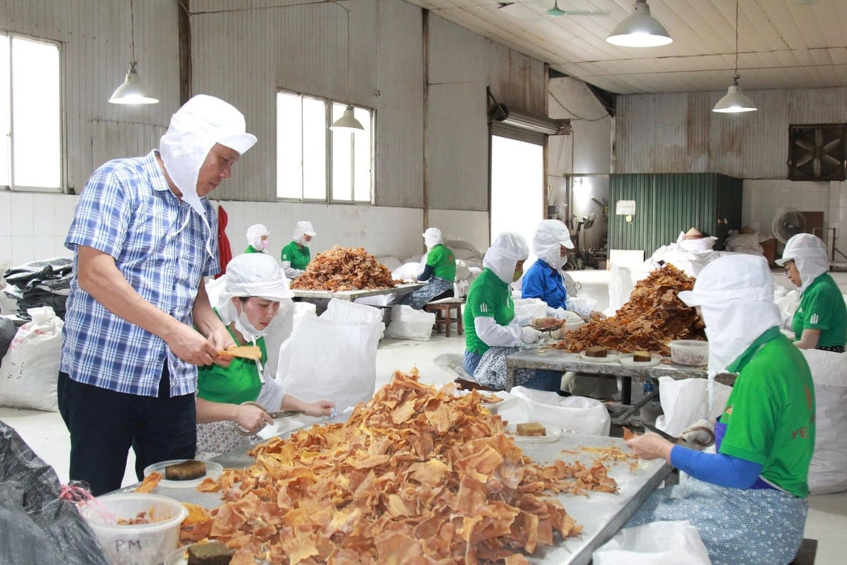 Xây dựng sản phẩm OCOP giúp nâng tầm và xây dựng thương hiệu cho nông sản. Ảnh: Thanh Tiến. Xây dựng sản phẩm OCOP giúp nâng tầm và xây dựng thương hiệu cho nông sản. Ảnh: Thanh Tiến.