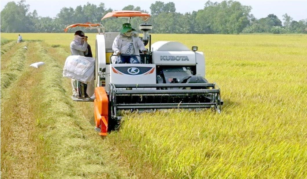 Trong 6 tháng đầu năm 2025, tình hình sản xuất nông nghiệp trên địa bàn tỉnh Trà Vinh tiếp tục đạt nhiều kết quả tích cực, góp phần phát triển kinh tế-xã hội trên địa bàn tỉnh. Ảnh: Lê Hùng. Trong 6 tháng đầu năm 2025, tình hình sản xuất nông nghiệp trên địa bàn tỉnh Trà Vinh tiếp tục đạt nhiều kết quả tích cực, góp phần phát triển kinh tế-xã hội trên địa bàn tỉnh. Ảnh: Lê Hùng.