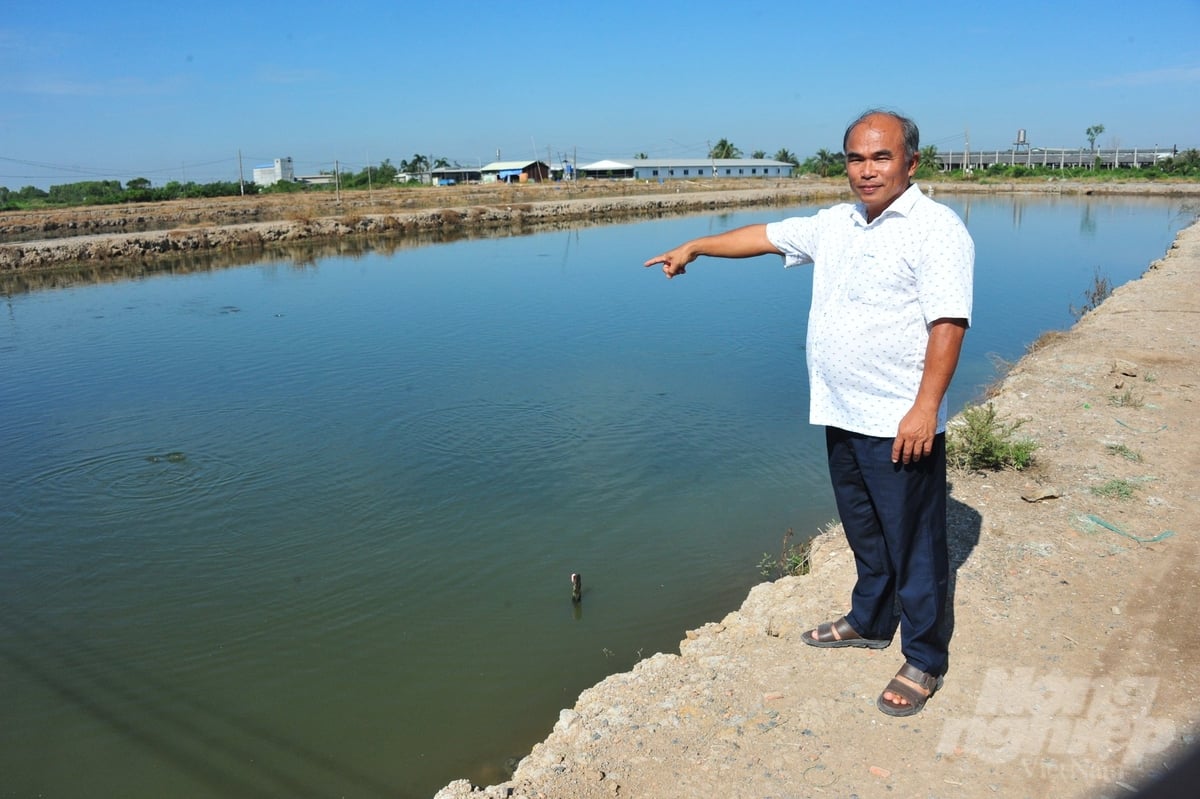 Ông Nguyễn Trường Chinh bên ao nuôi cá rộng 3.000m2. Ảnh: Lê Hoàng Vũ. Ông Nguyễn Trường Chinh bên ao nuôi cá rộng 3.000m2. Ảnh: Lê Hoàng Vũ.