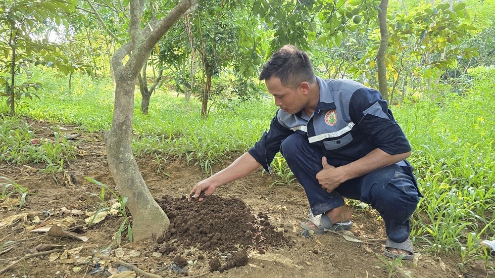 Phân được đóng bao bán cho người dân bón cây trồng. Ảnh: Thu Thủy. Phân được đóng bao bán cho người dân bón cây trồng. Ảnh: Thu Thủy.