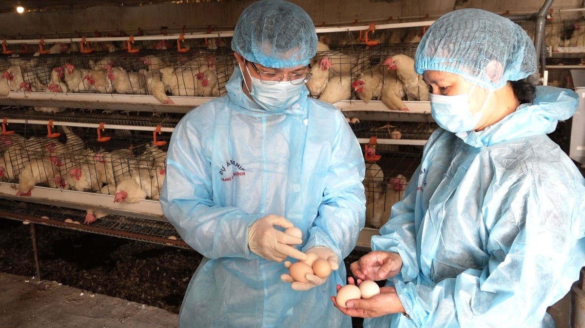 Bà Phạm Thị Nguyệt Dung (bên phải) giới thiệu về sản phẩm trứng gà Tân An. Ảnh: Nguyễn Thành. Bà Phạm Thị Nguyệt Dung (bên phải) giới thiệu về sản phẩm trứng gà Tân An. Ảnh: Nguyễn Thành.