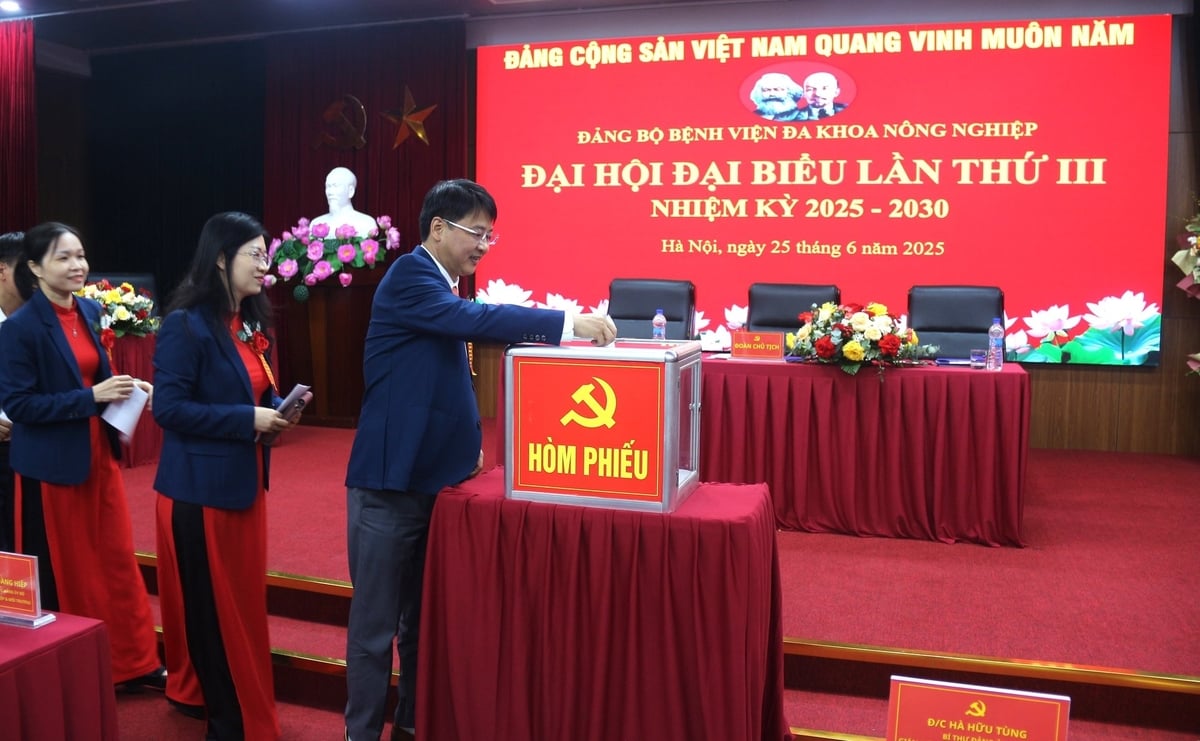 Các đại biểu bỏ phiếu bầu Ban Chấp hành nhiệm kỳ mới. Ảnh: Phạm Hiếu. Các đại biểu bỏ phiếu bầu Ban Chấp hành nhiệm kỳ mới. Ảnh: Phạm Hiếu.