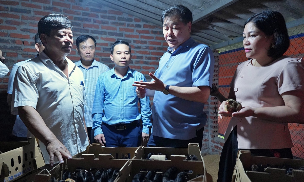 Giám đốc Lê Quốc Thanh: 'Chúng tôi không chỉ chuyên giao mỗi giống gà'. Ảnh: Bảo Thắng. Giám đốc Lê Quốc Thanh: 'Chúng tôi không chỉ chuyên giao mỗi giống gà'. Ảnh: Bảo Thắng.
