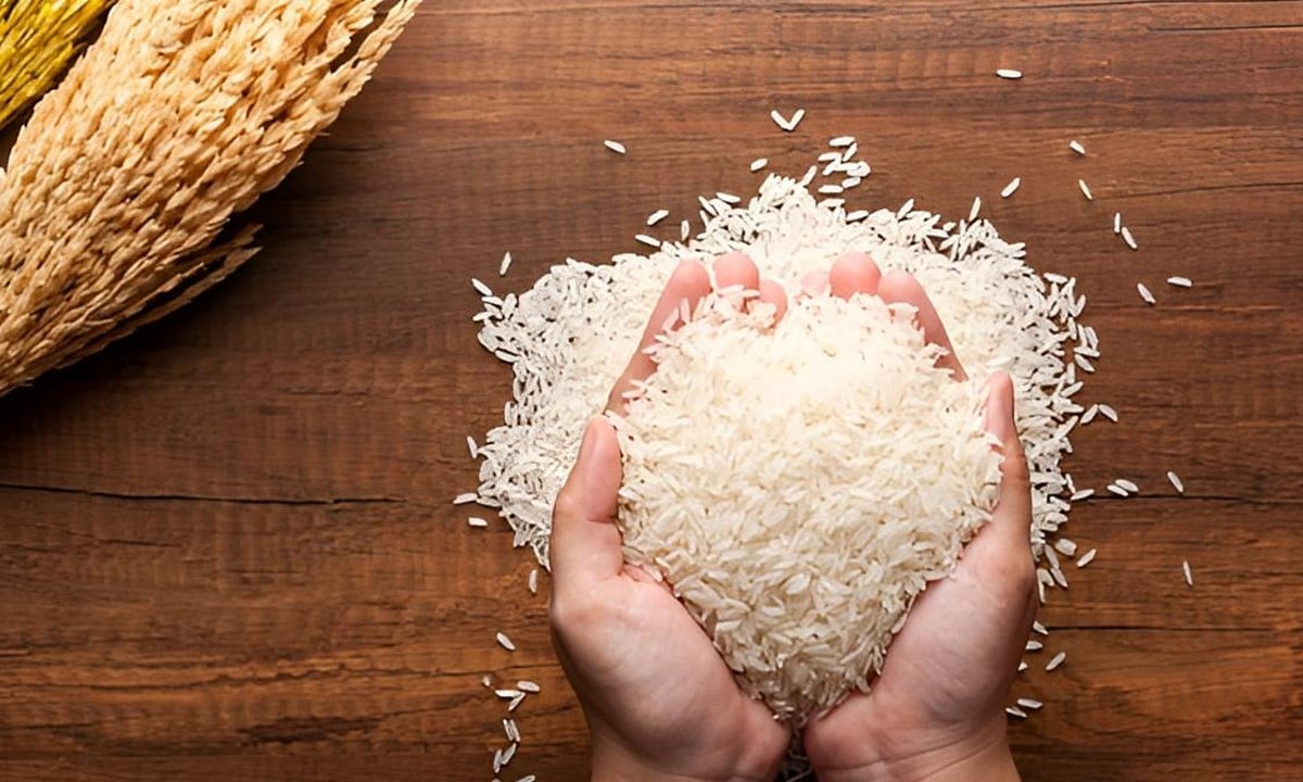 Cập nhật giá lúa gạo hôm nay 25/6/2025 mới nhất Cập nhật giá lúa gạo hôm nay 25/6/2025 mới nhất