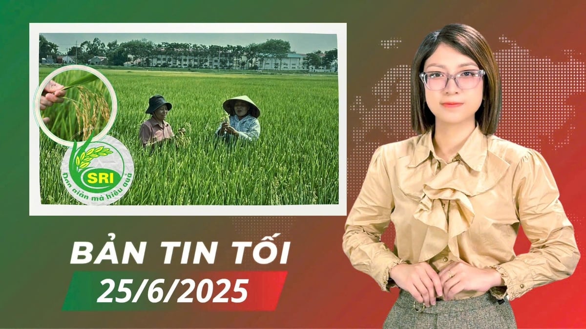 anh