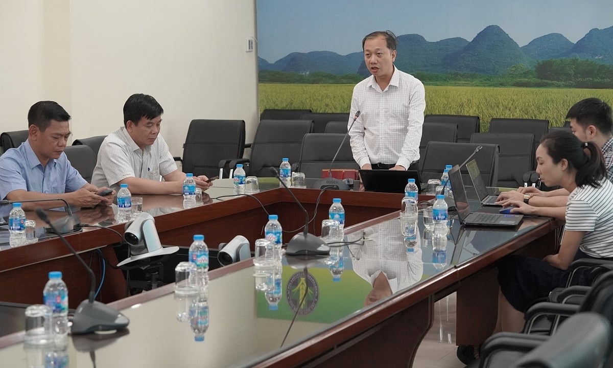 Hội nghị diễn ra sôi nổi với sự quan tâm của nhiều địa phương, hiệp hội, doanh nghiệp. Ảnh: Bảo Thắng. Hội nghị diễn ra sôi nổi với sự quan tâm của nhiều địa phương, hiệp hội, doanh nghiệp. Ảnh: Bảo Thắng.
