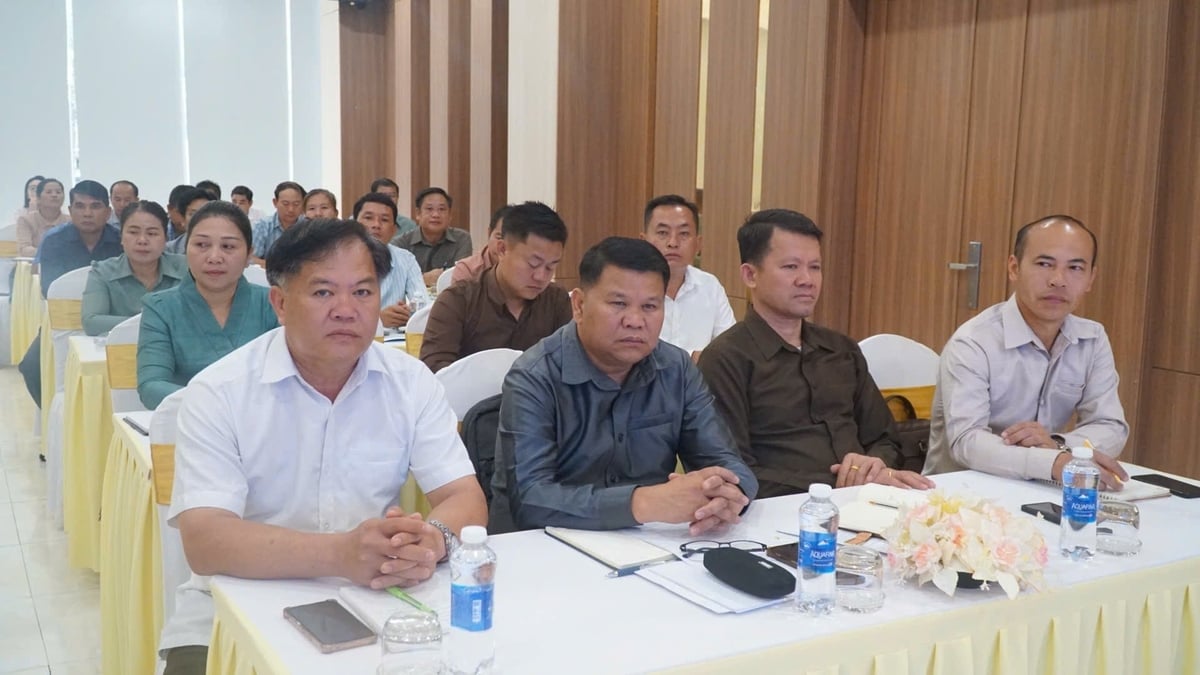 Các đồng chí lãnh đạo Sở Nông - Lâm nghiệp bên phía Lào. Ảnh: Đức Bình. Các đồng chí lãnh đạo Sở Nông - Lâm nghiệp bên phía Lào. Ảnh: Đức Bình.