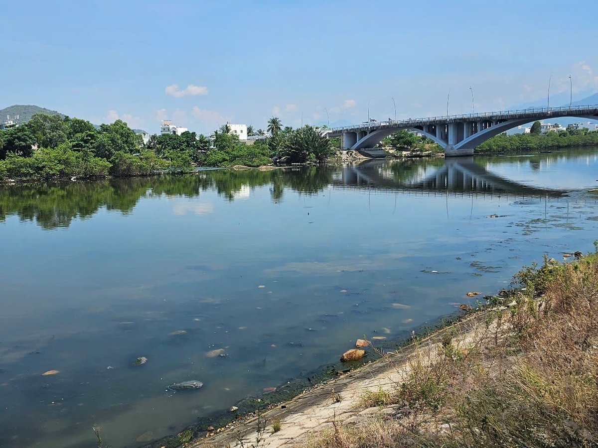 Sông Quán Trường đoạn ở phía hạ lưu cầu Phong Châu. Ảnh: KS. Sông Quán Trường đoạn ở phía hạ lưu cầu Phong Châu. Ảnh: KS.