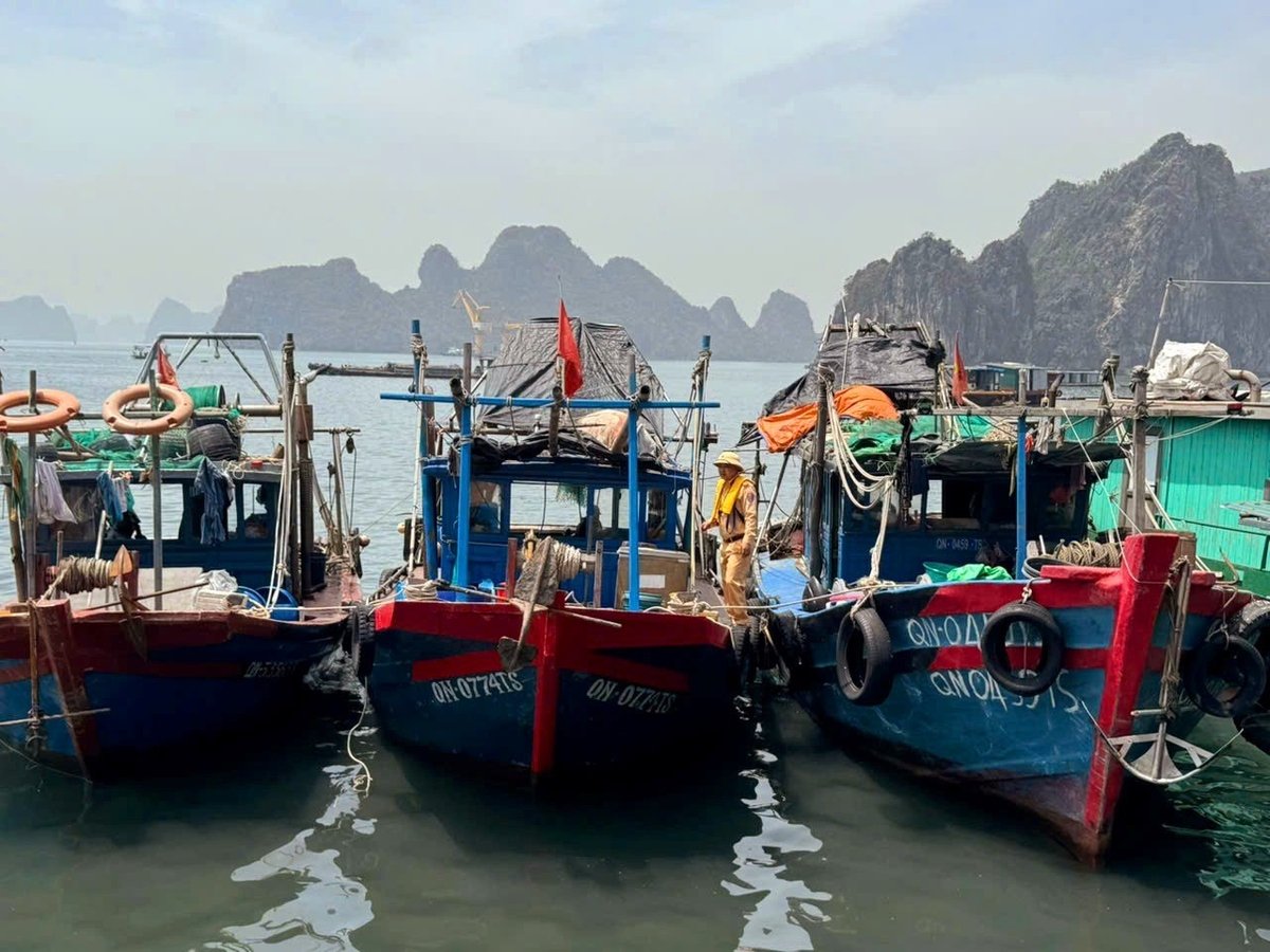 Tàu cá bị bắt giữ về hành vi tàng trữ công cụ, phương tiện tại vùng biển thuộc TP Cẩm Phả, Quảng Ninh. Ảnh: Cường Vũ. Tàu cá bị bắt giữ về hành vi tàng trữ công cụ, phương tiện tại vùng biển thuộc TP Cẩm Phả, Quảng Ninh. Ảnh: Cường Vũ.