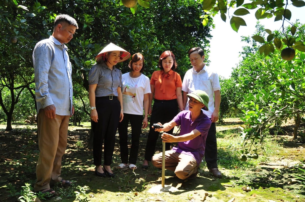 Hệ thống tưới tiết kiệm đang trở thành 'người bạn' đồng hành giúp cây trồng cho năng suất, hiệu quả kinh tế cao. Ảnh: Đào Thanh. Hệ thống tưới tiết kiệm đang trở thành 'người bạn' đồng hành giúp cây trồng cho năng suất, hiệu quả kinh tế cao. Ảnh: Đào Thanh.