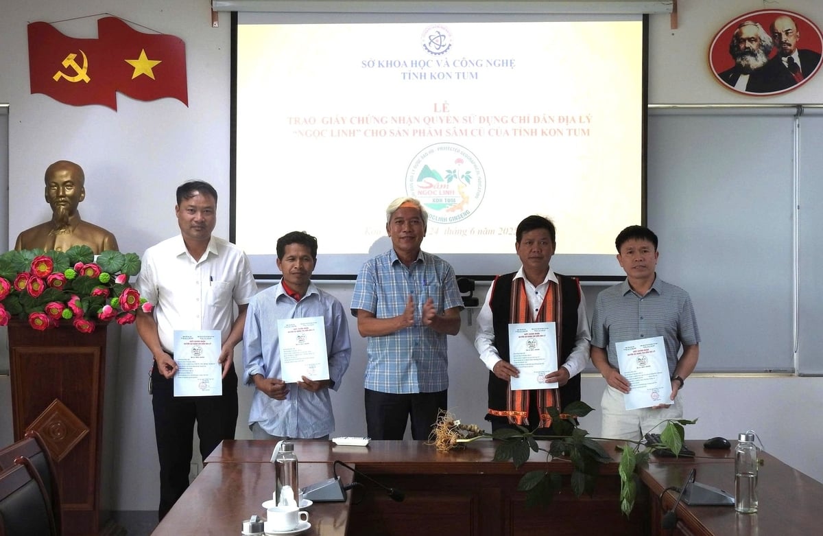 Các tổ chức và cá nhân được cấp giấy chứng nhận quyền sử dụng chỉ dẫn địa lý 'Ngọc Linh' cho sản phẩm sâm củ. Ảnh: Tuấn Anh. Các tổ chức và cá nhân được cấp giấy chứng nhận quyền sử dụng chỉ dẫn địa lý 'Ngọc Linh' cho sản phẩm sâm củ. Ảnh: Tuấn Anh.