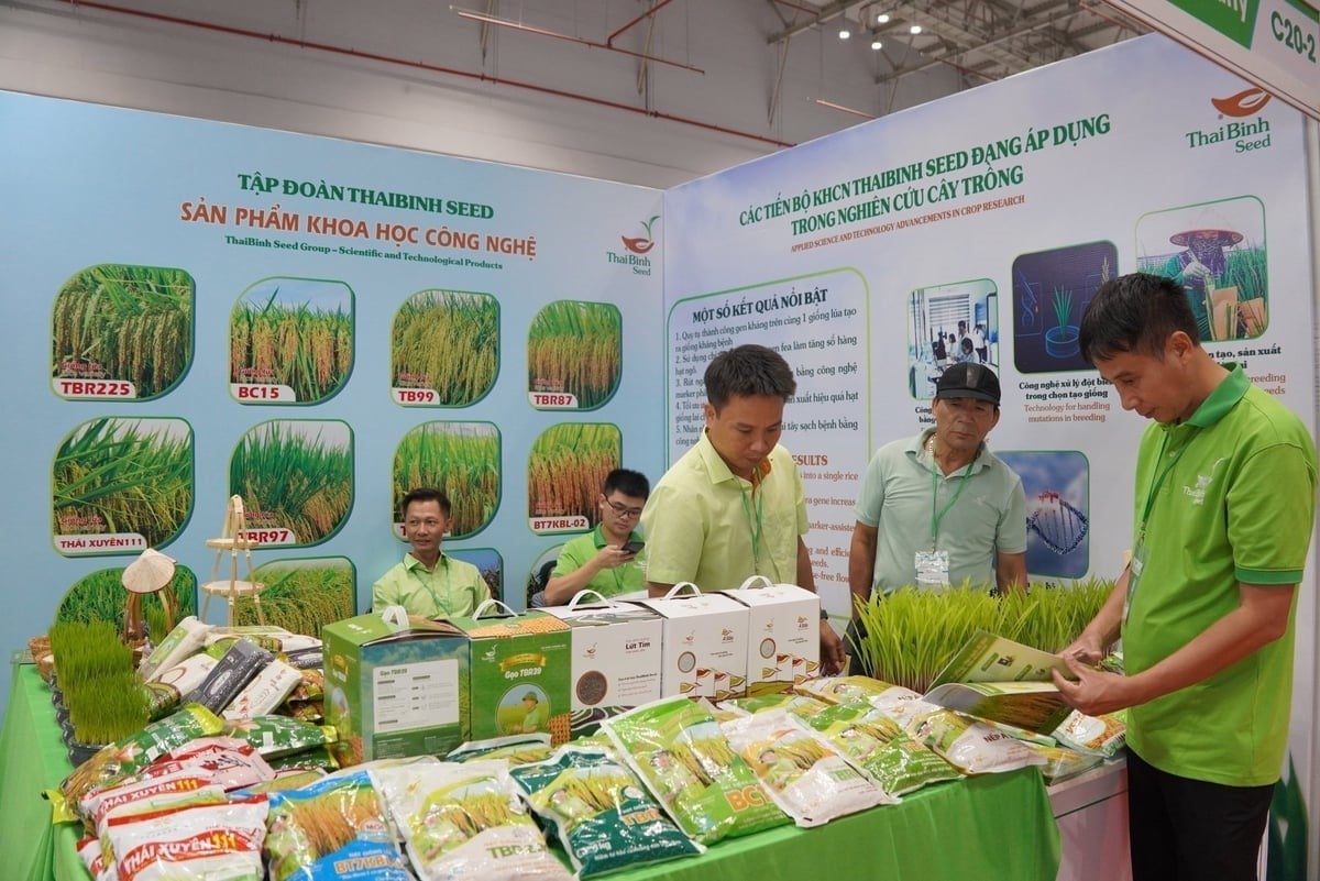 ThaiBinh Seed Group's products. Photo: Nguyen Thuy.