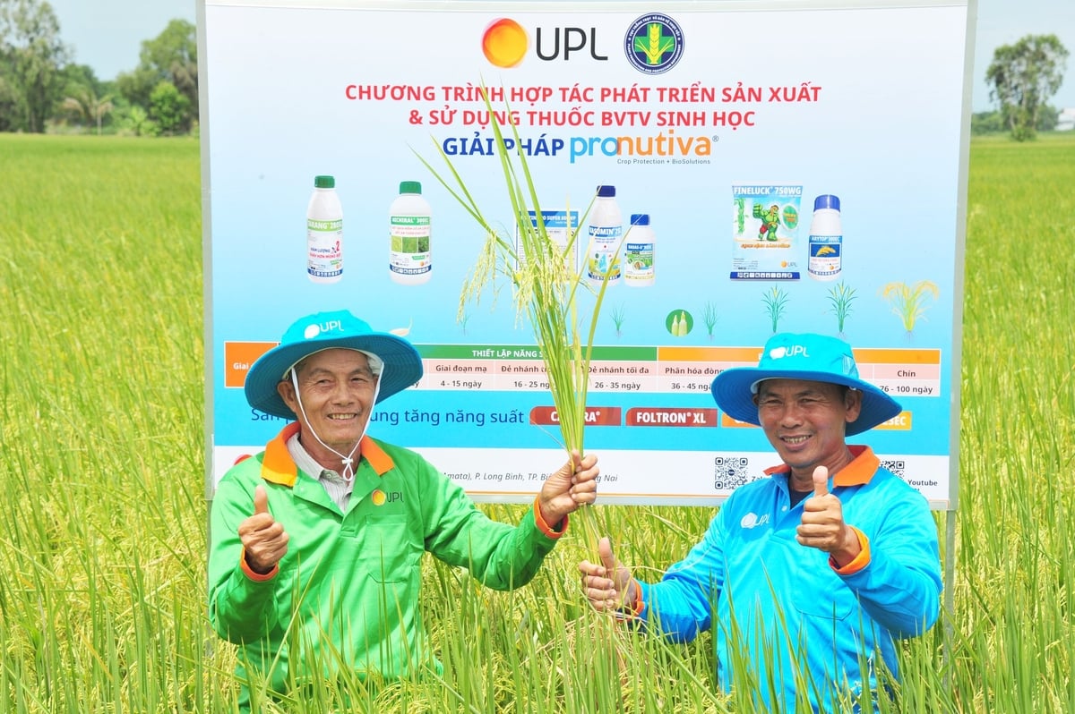 Giải pháp Pronutiva tích hợp thuốc BVTV sinh học và hóa học được UPL giới thiệu tại hội thảo ngày 25/6. Ảnh: Lê Hoàng Vũ. Giải pháp Pronutiva tích hợp thuốc BVTV sinh học và hóa học được UPL giới thiệu tại hội thảo ngày 25/6. Ảnh: Lê Hoàng Vũ.