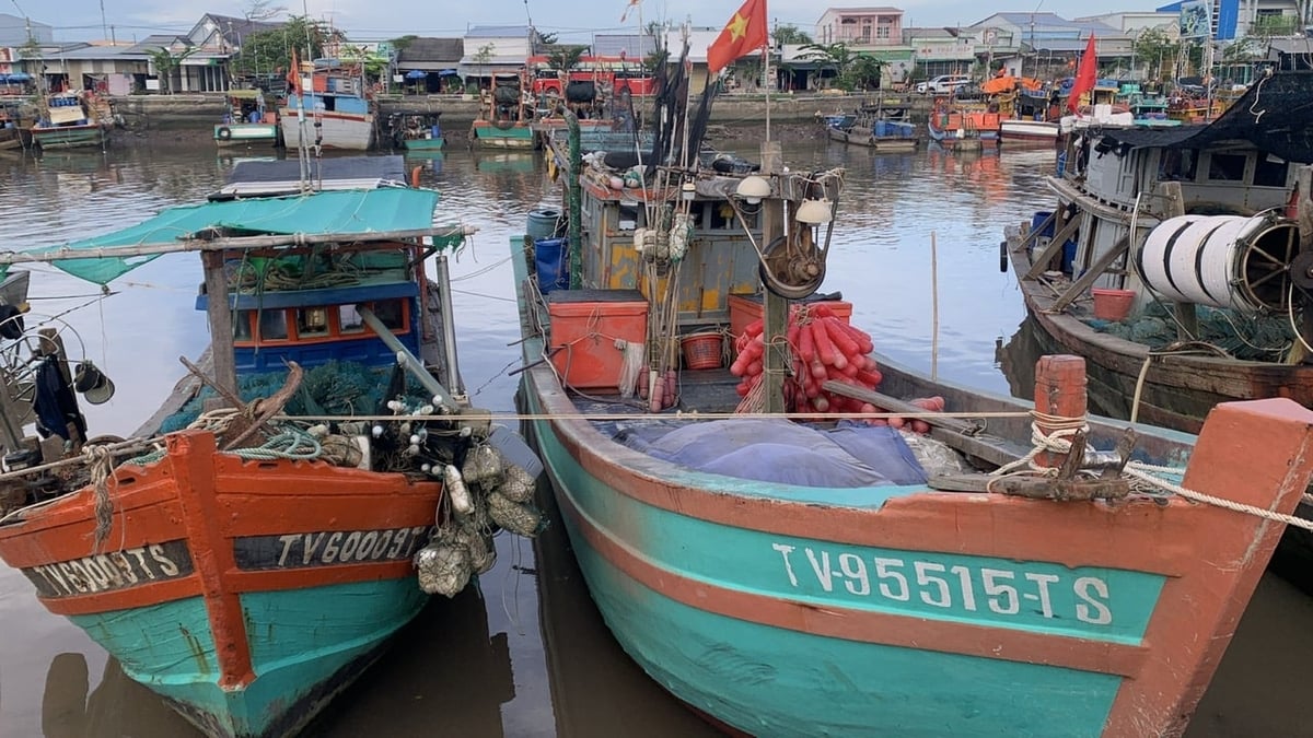 Ban Quản lý cảng cá tỉnh Trà Vinh cho biết, đơn vị đang tham mưu đưa cảng cá Láng Chim vào danh sách cảng chỉ định cho tàu có chiều dài từ 15 mét trở lên cập bến. Ảnh: Hồ Thảo. Ban Quản lý cảng cá tỉnh Trà Vinh cho biết, đơn vị đang tham mưu đưa cảng cá Láng Chim vào danh sách cảng chỉ định cho tàu có chiều dài từ 15 mét trở lên cập bến. Ảnh: Hồ Thảo.