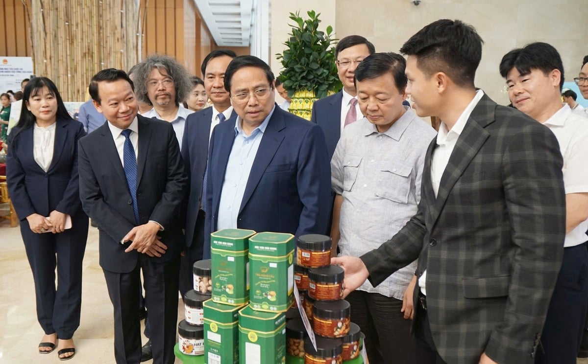 Đại diện công ty TNHH Xuất nhập khẩu Nga Biên (áo vest bên phải) đang giới thiệu các sản phẩm về điều và ngũ cốc đến lãnh đạo Chính phủ và các Bộ, ngành. Ảnh: Sở NN-MT Đồng Nai. Đại diện công ty TNHH Xuất nhập khẩu Nga Biên (áo vest bên phải) đang giới thiệu các sản phẩm về điều và ngũ cốc đến lãnh đạo Chính phủ và các Bộ, ngành. Ảnh: Sở NN-MT Đồng Nai.