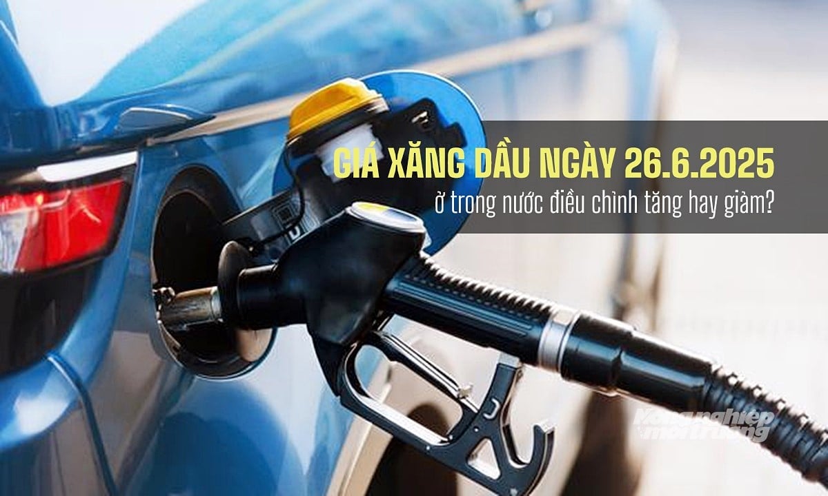 Cập nhật giá xăng dầu hôm nay 26/6/2025 sau phiên điều chỉnh Cập nhật giá xăng dầu hôm nay 26/6/2025 sau phiên điều chỉnh