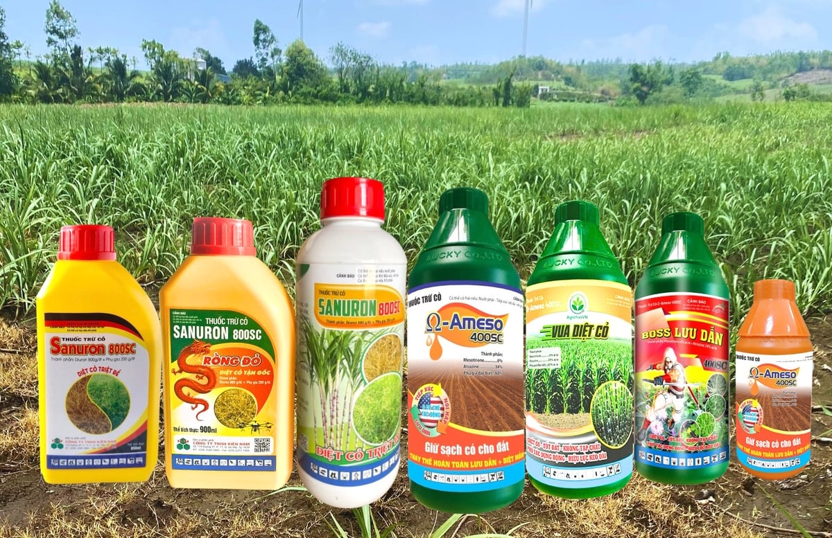 Thuốc diệt cỏ của Công ty TNHH MTV TM Agria Gia Lai mang tính đột phá cho vùng nguyên liệu trồng mía. Ảnh: TA. Thuốc diệt cỏ của Công ty TNHH MTV TM Agria Gia Lai mang tính đột phá cho vùng nguyên liệu trồng mía. Ảnh: TA.
