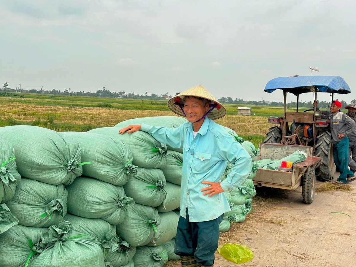 Niềm vui ngày mùa. 