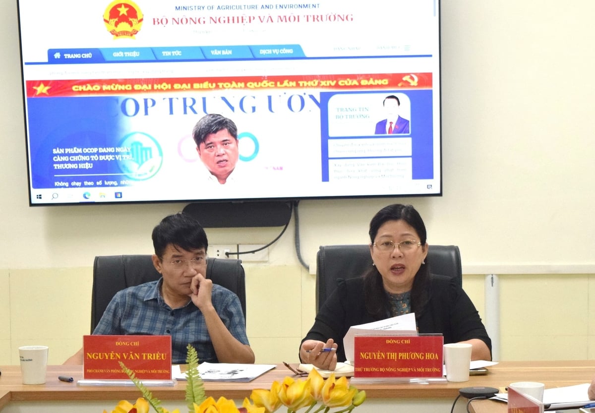 Thứ trưởng Bộ Nông nghiệp và Môi trường Nguyễn Thị Phương Hoa chủ trì buổi tiếp công dân định kỳ tháng 6/2025. Ảnh:Trường Giang. Thứ trưởng Bộ Nông nghiệp và Môi trường Nguyễn Thị Phương Hoa chủ trì buổi tiếp công dân định kỳ tháng 6/2025. Ảnh:Trường Giang.