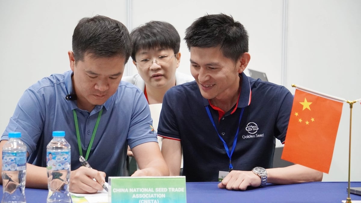 Các doanh nghiệp Trung Quốc chia sẻ, tìm hiểu thị trường và đặt hàng cụ thể về giống cây trồng Việt Nam. Ảnh: Lê Bình. Các doanh nghiệp Trung Quốc chia sẻ, tìm hiểu thị trường và đặt hàng cụ thể về giống cây trồng Việt Nam. Ảnh: Lê Bình.