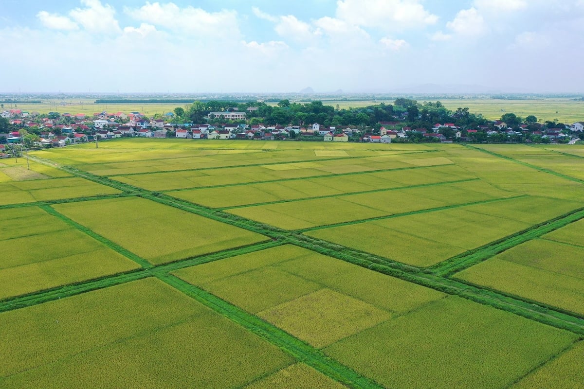 Việc tiếp tục miễn thuế được kỳ vọng sẽ thúc đẩy quá trình chuyển dịch cơ cấu kinh tế nông nghiệp, nông thôn theo hướng hiện đại. Ảnh: Tùng Đinh. Việc tiếp tục miễn thuế được kỳ vọng sẽ thúc đẩy quá trình chuyển dịch cơ cấu kinh tế nông nghiệp, nông thôn theo hướng hiện đại. Ảnh: Tùng Đinh.