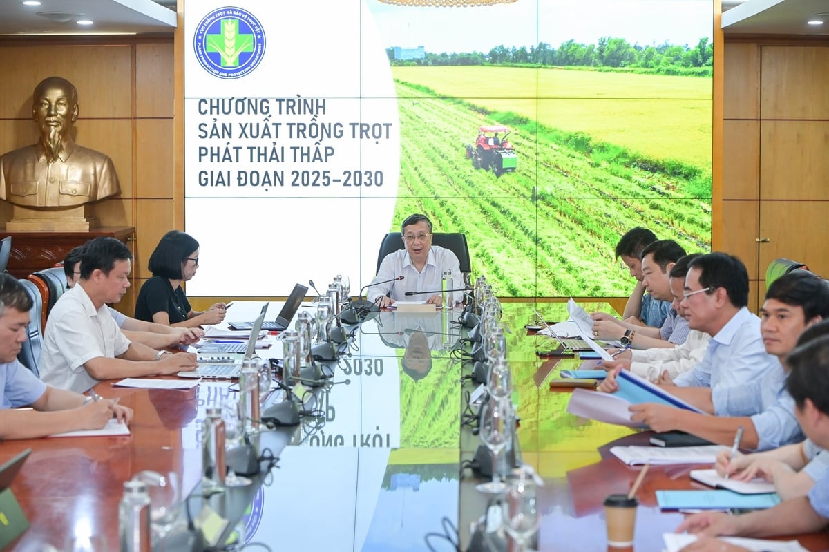 Thứ trưởng Hoàng Trung làm việc với các đơn vị của Bộ Nông nghiệp và Môi trường về vấn đề giảm phát thải trong trồng trọt. Ảnh: Tùng Đinh. Thứ trưởng Hoàng Trung làm việc với các đơn vị của Bộ Nông nghiệp và Môi trường về vấn đề giảm phát thải trong trồng trọt. Ảnh: Tùng Đinh.