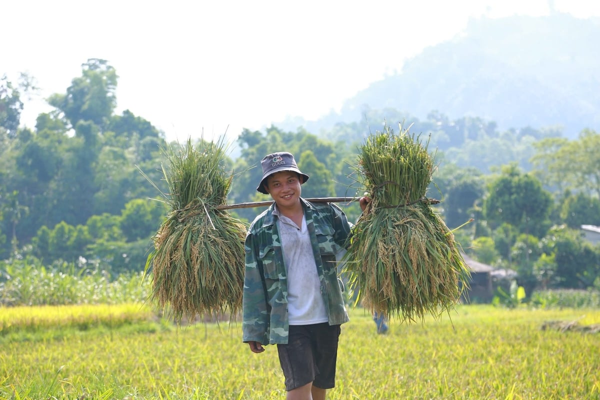 Nhờ hạn chế sử dụng thuốc bảo vệ thực vật và phân bón hóa học, mô hình góp phần cải thiện chất lượng đất, nguồn nước, hệ sinh thái và bảo vệ sức khỏe con người. Ảnh: Thanh Ngà. Nhờ hạn chế sử dụng thuốc bảo vệ thực vật và phân bón hóa học, mô hình góp phần cải thiện chất lượng đất, nguồn nước, hệ sinh thái và bảo vệ sức khỏe con người. Ảnh: Thanh Ngà.