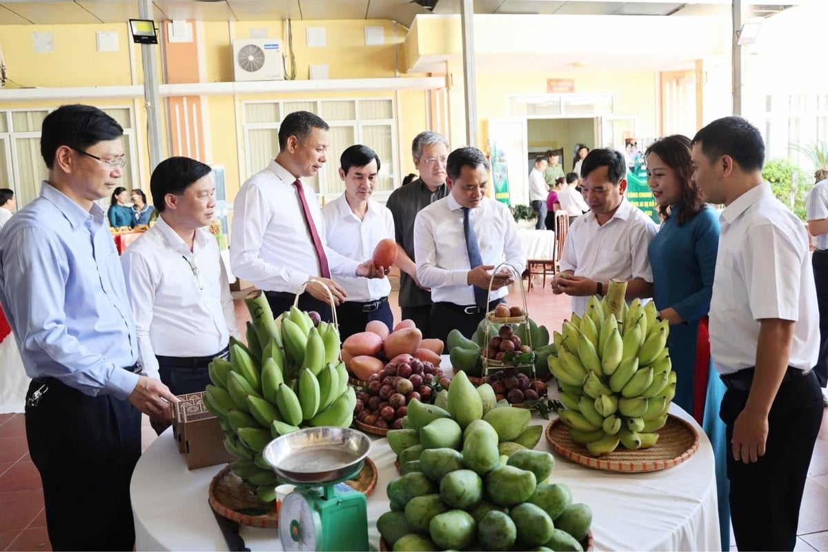 Các đại biểu tham quan các gian hàng nông sản bên lề Hội nghị. Ảnh: Nguyễn Nga. Các đại biểu tham quan các gian hàng nông sản bên lề Hội nghị. Ảnh: Nguyễn Nga.