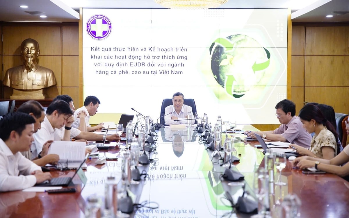Thứ trưởng Bộ Nông nghiệp và Môi trường Hoàng Trung chủ trì cuộc họp về kết quả thực hiện và kế hoạch triển khai các hoạt động hỗ trợ thích ứng quy định EUDR đối với ngành hàng cà phê, cao su tại Việt Nam. Ảnh: Linh Linh. Thứ trưởng Bộ Nông nghiệp và Môi trường Hoàng Trung chủ trì cuộc họp về kết quả thực hiện và kế hoạch triển khai các hoạt động hỗ trợ thích ứng quy định EUDR đối với ngành hàng cà phê, cao su tại Việt Nam. Ảnh: Linh Linh.