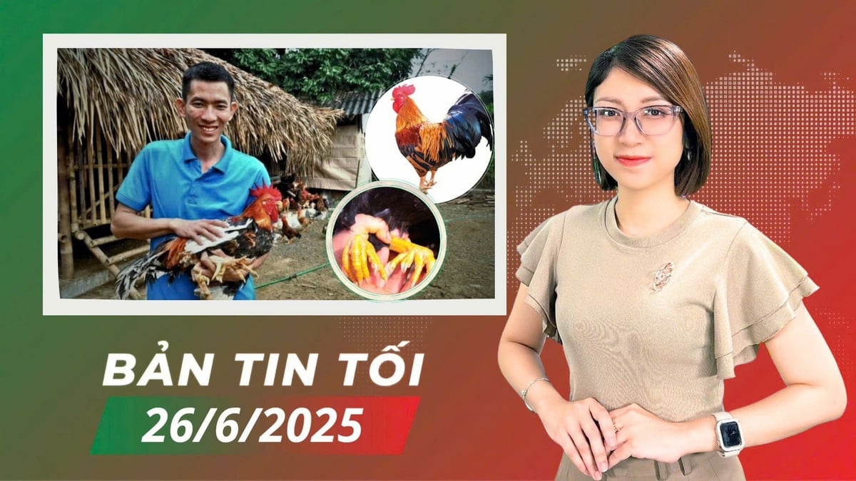 anh