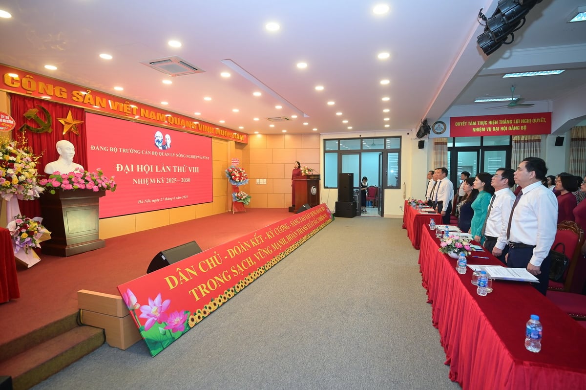 Các đại biểu tham dự Đại hội Đại biểu lần thứ 8, nhiệm kỳ 2025-2030 Đảng bộ Trường Cán bộ quản lý NN-PTNT làm lễ chào cờ. Ảnh: Tùng Đinh. Các đại biểu tham dự Đại hội Đại biểu lần thứ 8, nhiệm kỳ 2025-2030 Đảng bộ Trường Cán bộ quản lý NN-PTNT làm lễ chào cờ. Ảnh: Tùng Đinh.