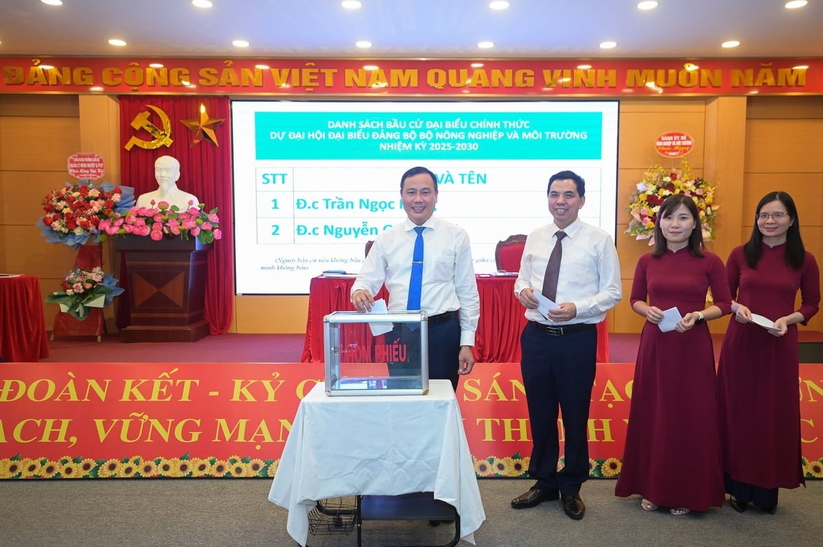 Các đại biểu bỏ phiếu bầu đại biểu dự Đại hội Đảng bộ Bộ Nông nghiệp và Môi trường. Ảnh: Tùng Đinh. Các đại biểu bỏ phiếu bầu đại biểu dự Đại hội Đảng bộ Bộ Nông nghiệp và Môi trường. Ảnh: Tùng Đinh.