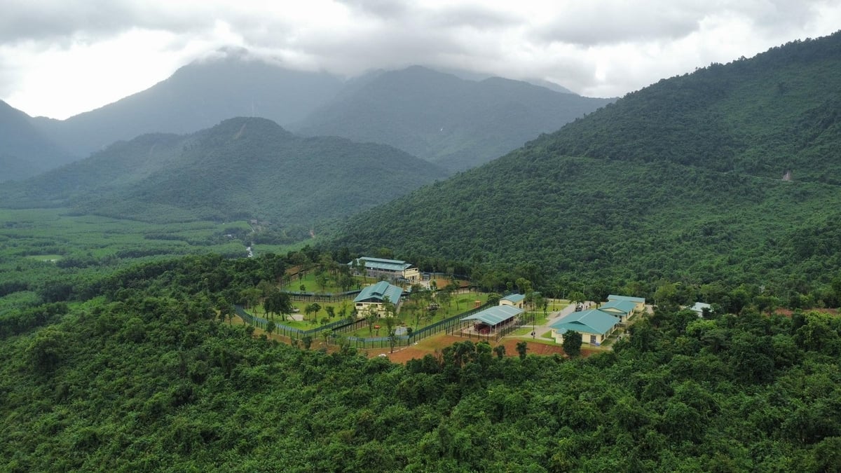 Tại Hội thảo, WWF-Việt Nam đã chính thức công bố Chiến lược Cảnh quan Trung Trường Sơn giai đoạn 2025-2030. Ảnh: Văn Dinh. Tại Hội thảo, WWF-Việt Nam đã chính thức công bố Chiến lược Cảnh quan Trung Trường Sơn giai đoạn 2025-2030. Ảnh: Văn Dinh.