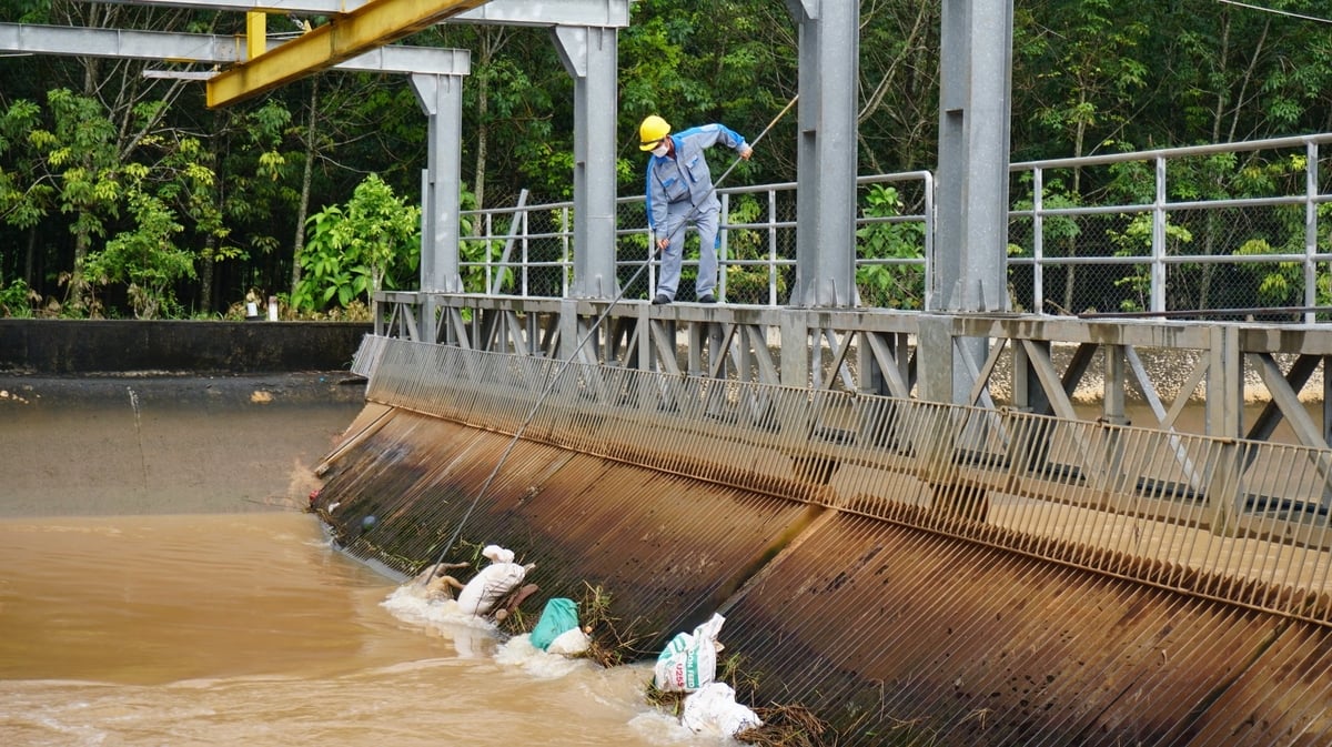 Cán bộ nhà máy thủy điện Minh Tân, điểm cuối tuyến kênh chuyển nước Dầu Tiếng - Phước Hòa vẫn làm công việc bất đắc dĩ vớt xác heo mỗi ngày. Ảnh: Trần Trung.