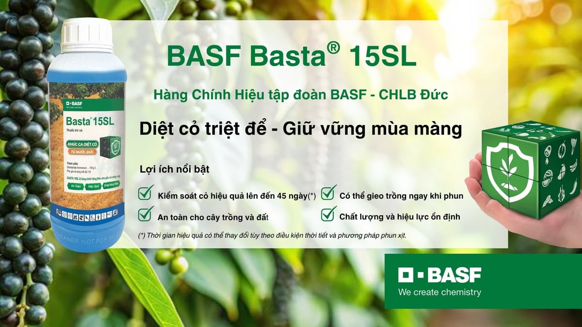 BASF Basta 15SL - Hàng chính hiệu của BASF - CHLB Đức. Ảnh: BASF. BASF Basta 15SL - Hàng chính hiệu của BASF - CHLB Đức. Ảnh: BASF.