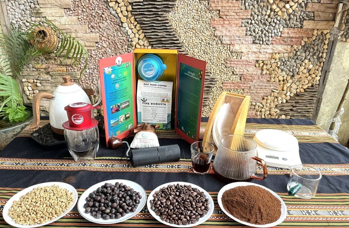 Cà phê Fine Robusta, một trong 5 sản phẩm OCOP 5 sao Quốc gia của HTX Nam Yang vừa được vinh danh toàn quốc. Ảnh: HTX. Cà phê Fine Robusta, một trong 5 sản phẩm OCOP 5 sao Quốc gia của HTX Nam Yang vừa được vinh danh toàn quốc. Ảnh: HTX.