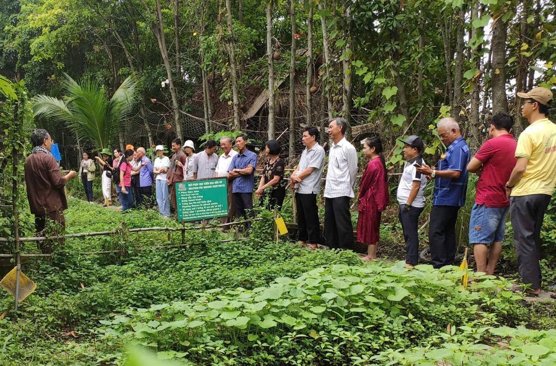 Du khách tham quan mô hình trồng rau hữu cơ ở nông trại Tam Nông. Ảnh: Nguyễn Thủy.
